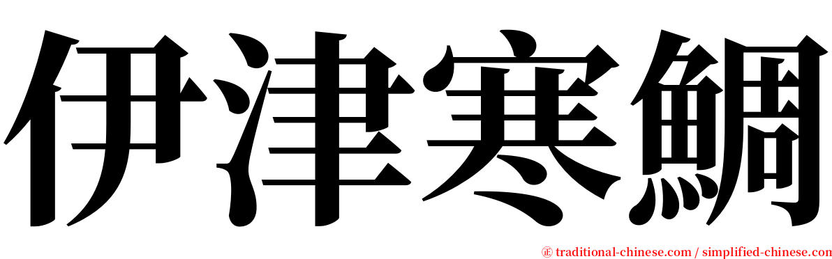 伊津寒鯛 serif font