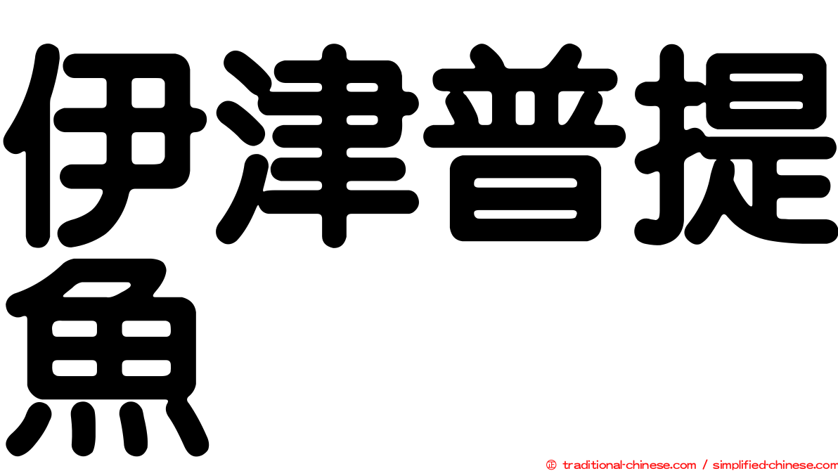 伊津普提魚