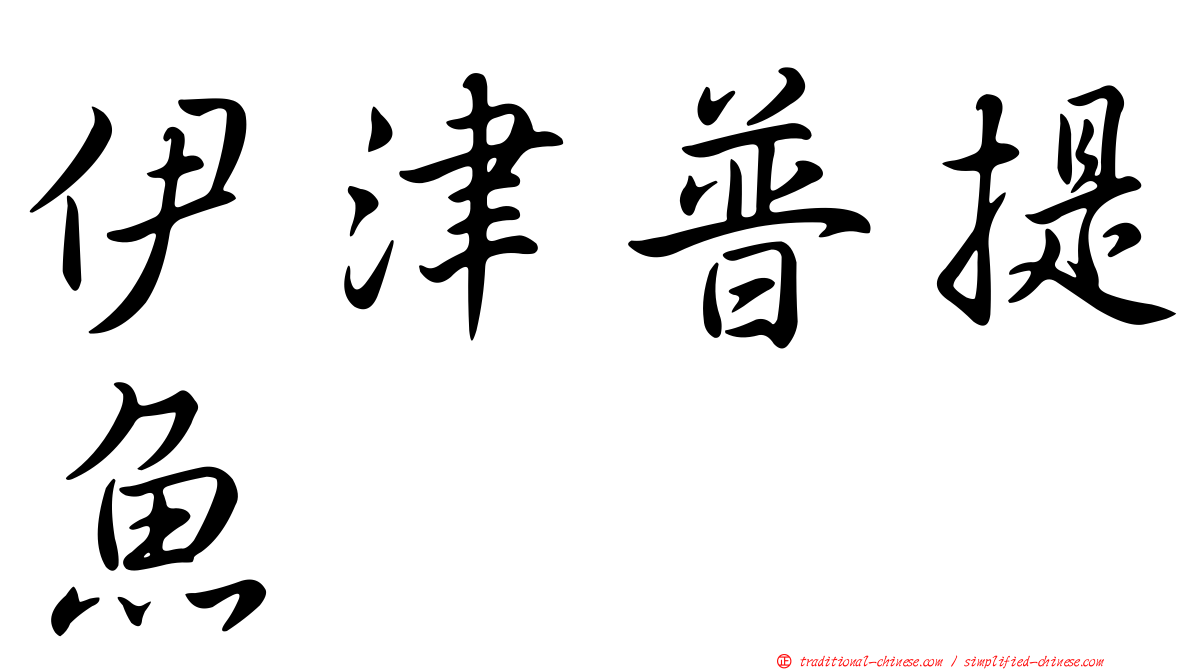 伊津普提魚