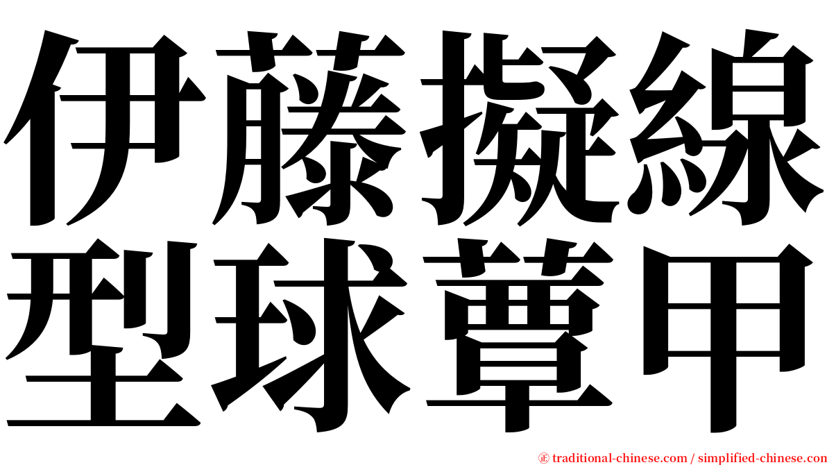 伊藤擬線型球蕈甲 serif font