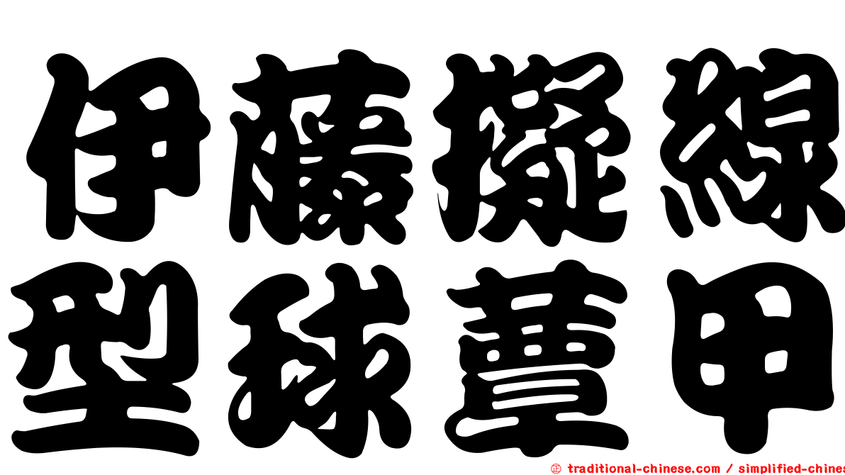 伊藤擬線型球蕈甲