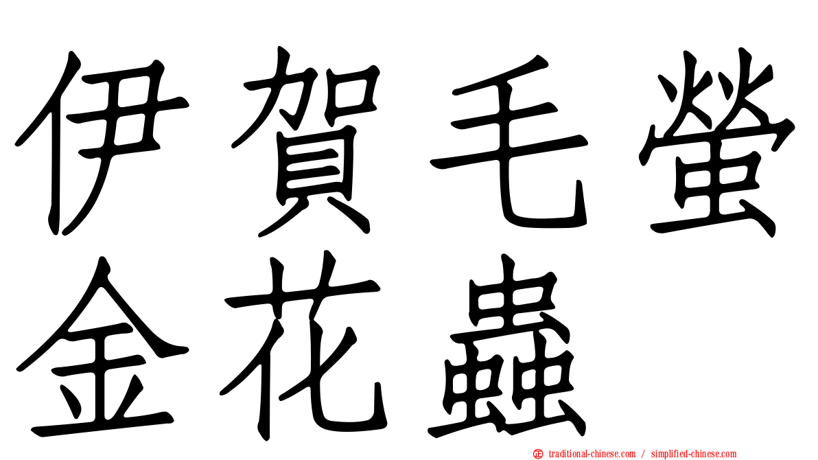 伊賀毛螢金花蟲