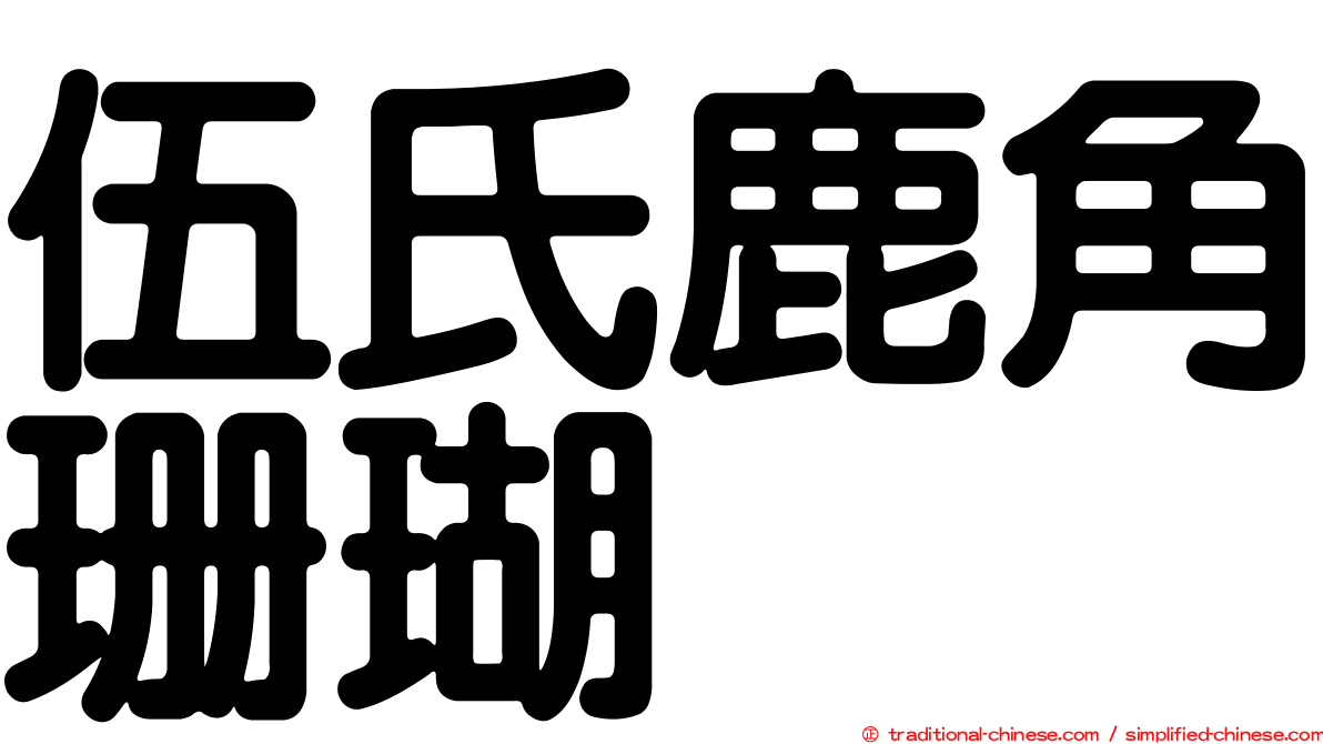 伍氏鹿角珊瑚