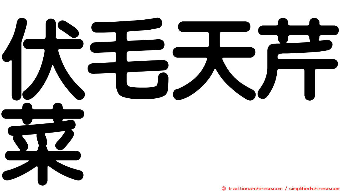 伏毛天芹菜