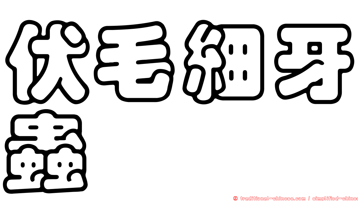 伏毛細牙蟲