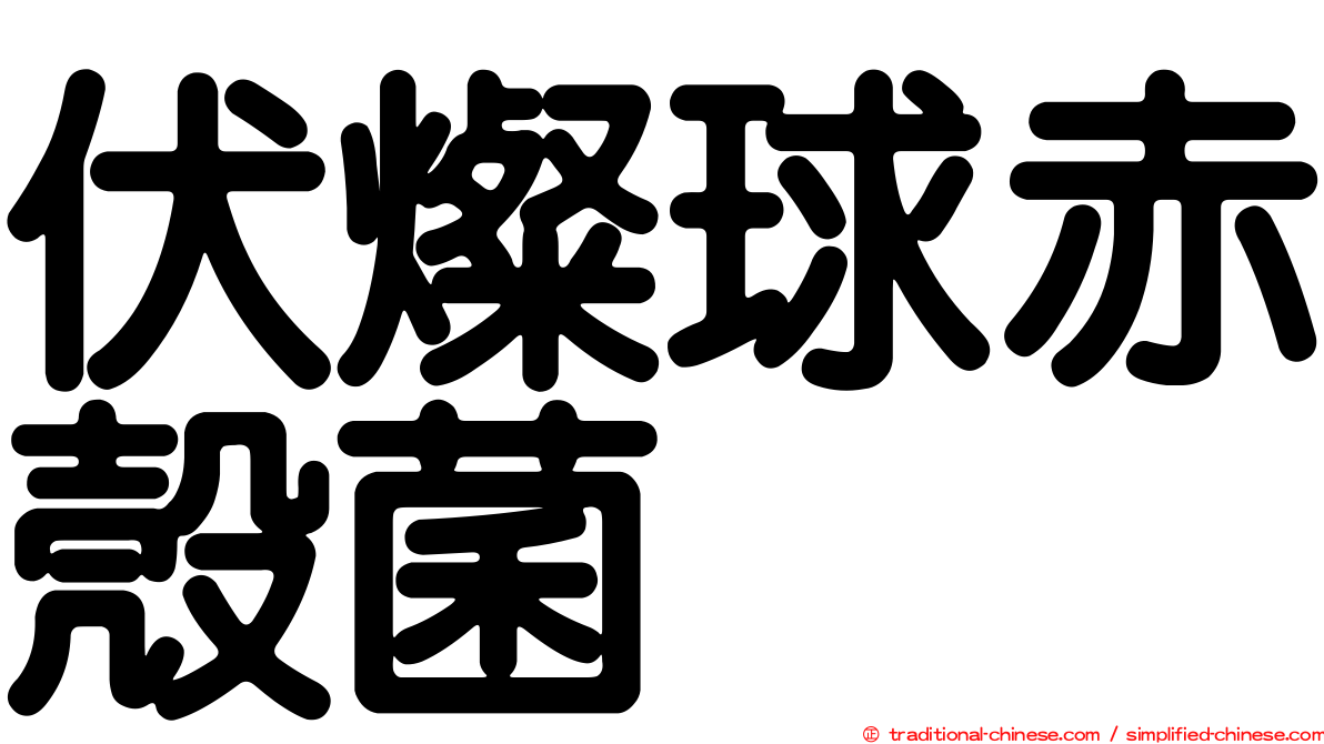 伏燦球赤殼菌