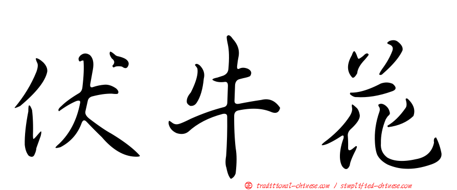 伏牛花