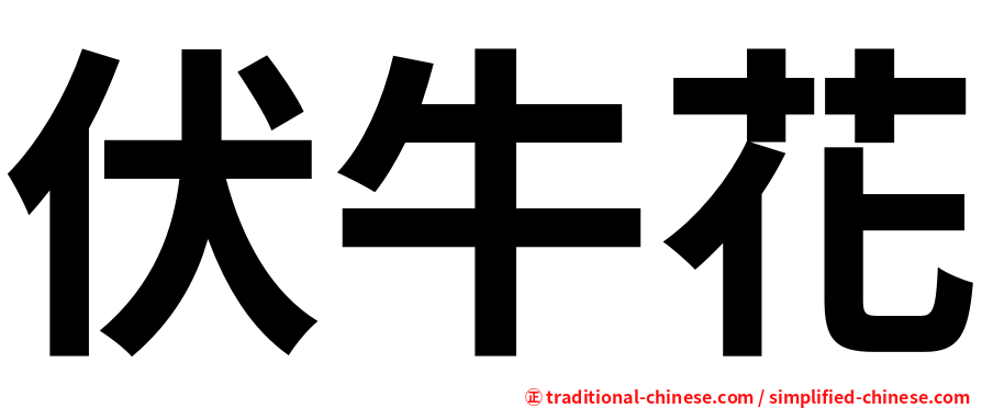 伏牛花