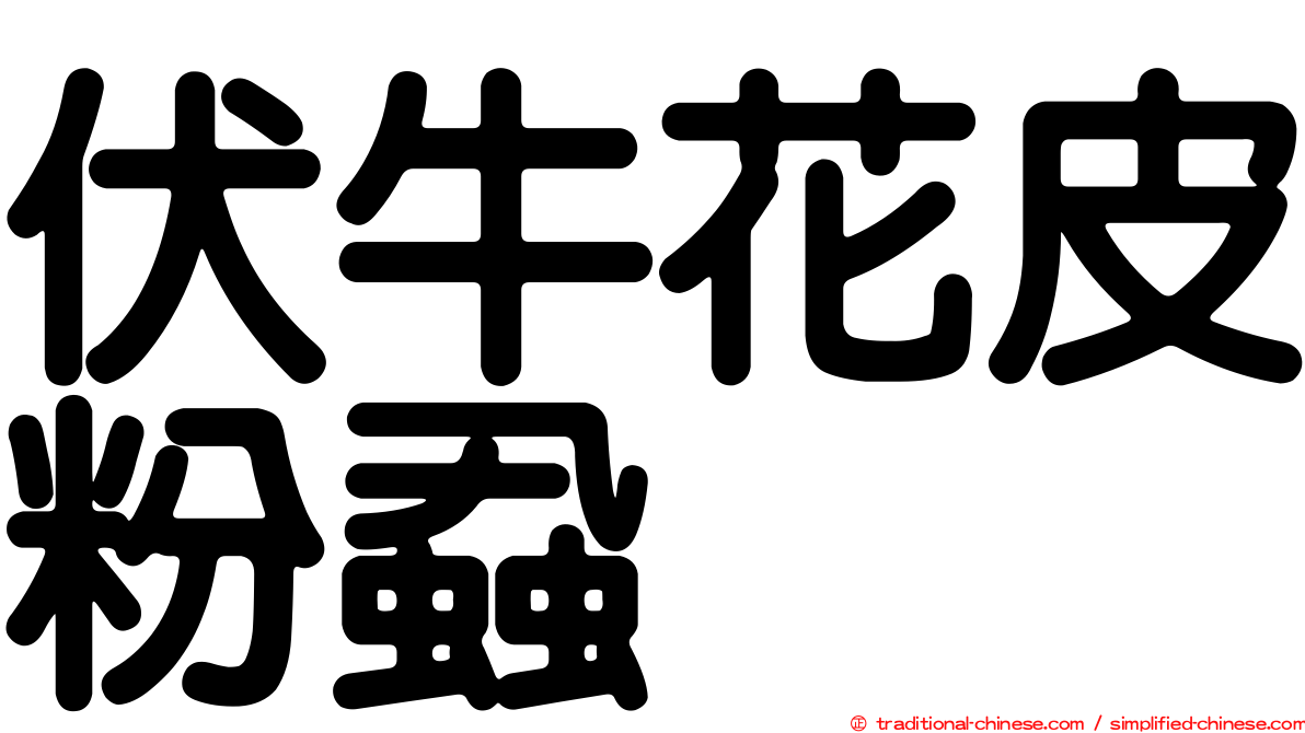 伏牛花皮粉蝨