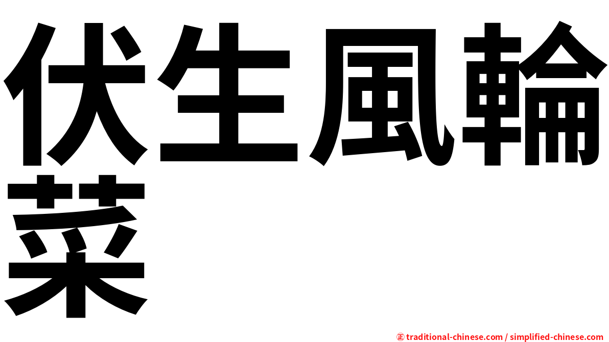 伏生風輪菜