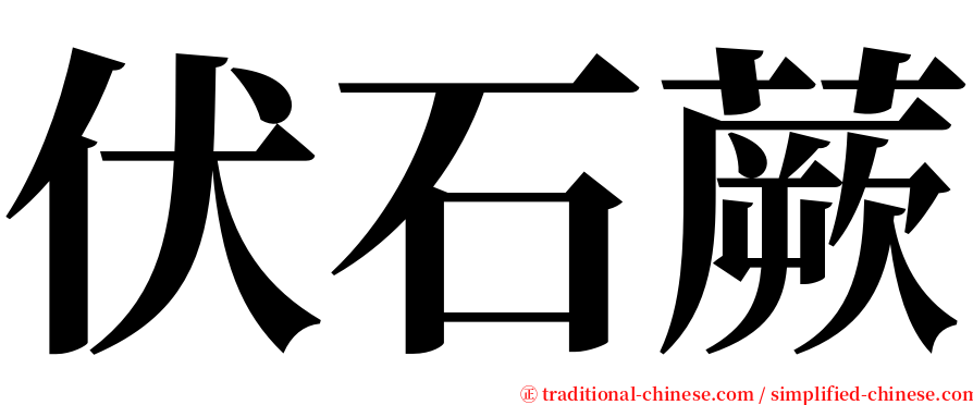 伏石蕨 serif font