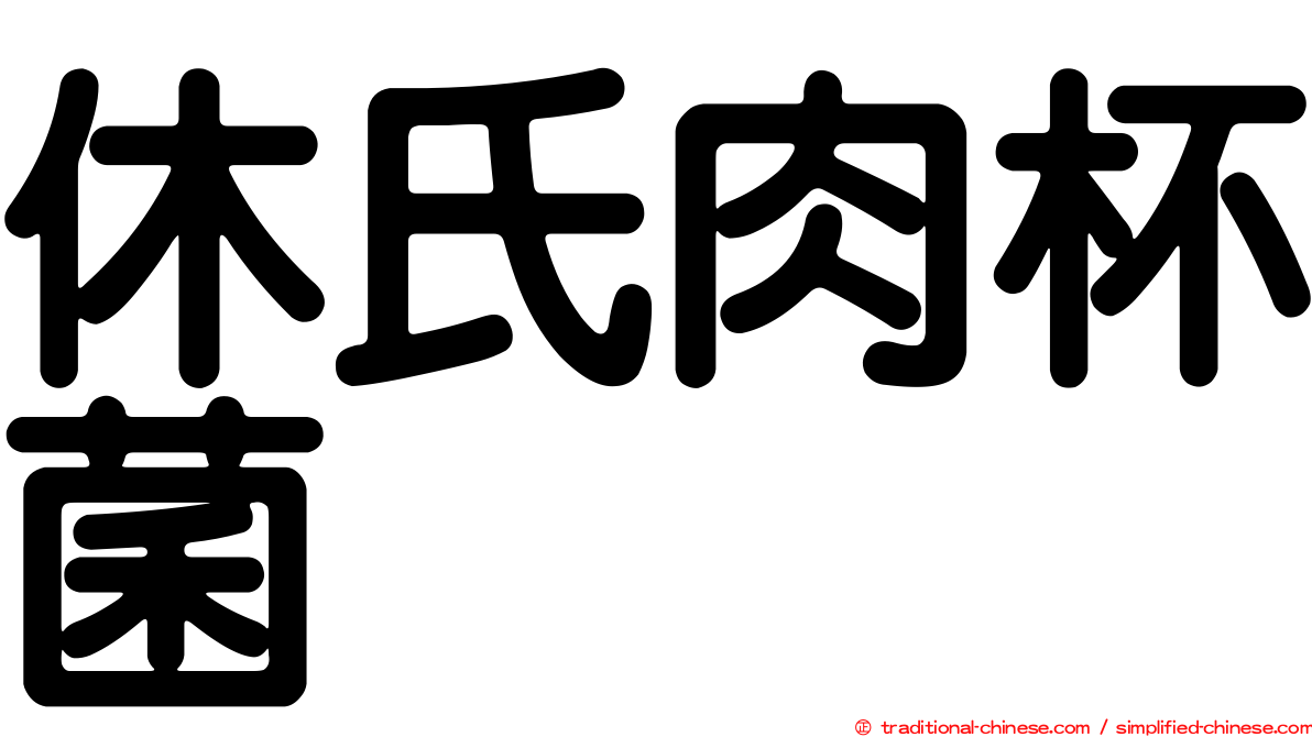 休氏肉杯菌