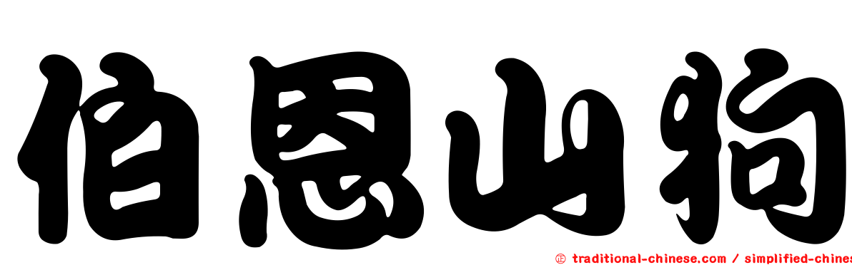 伯恩山狗