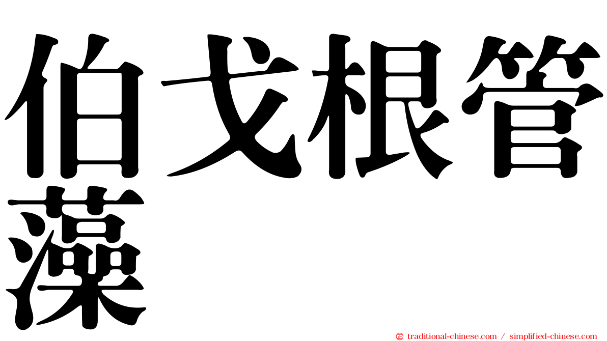 伯戈根管藻
