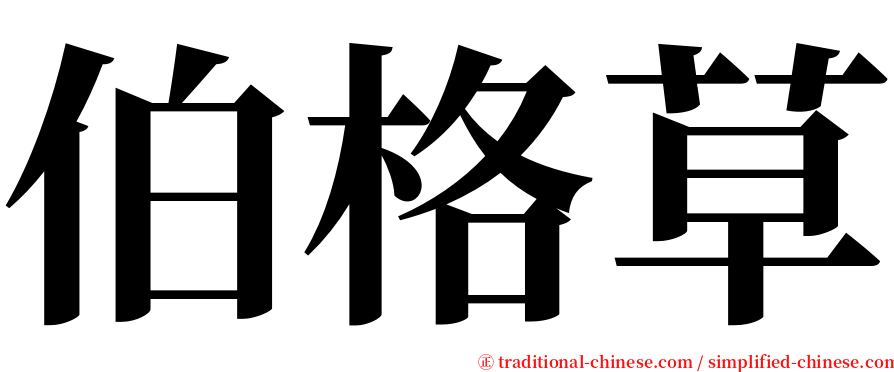 伯格草 serif font