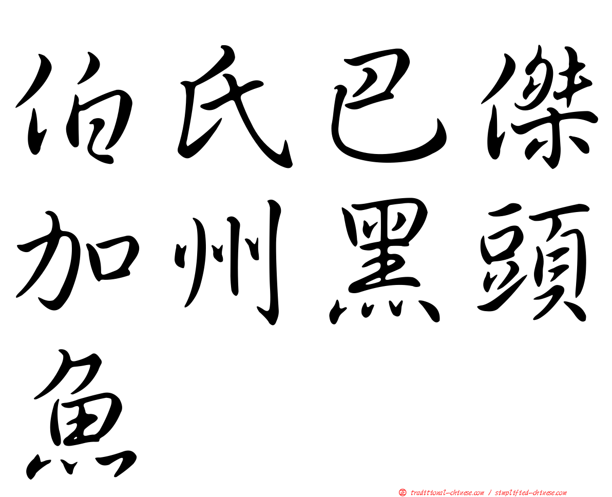 伯氏巴傑加州黑頭魚