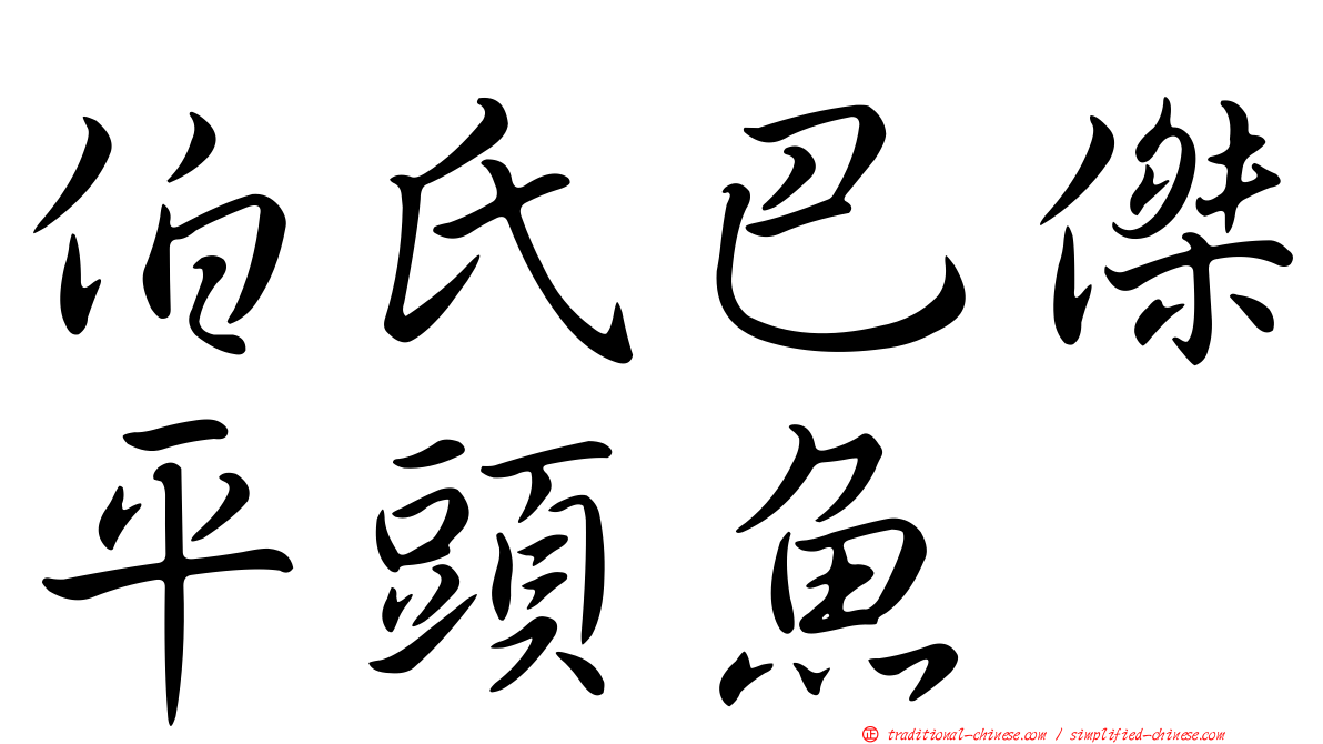 伯氏巴傑平頭魚
