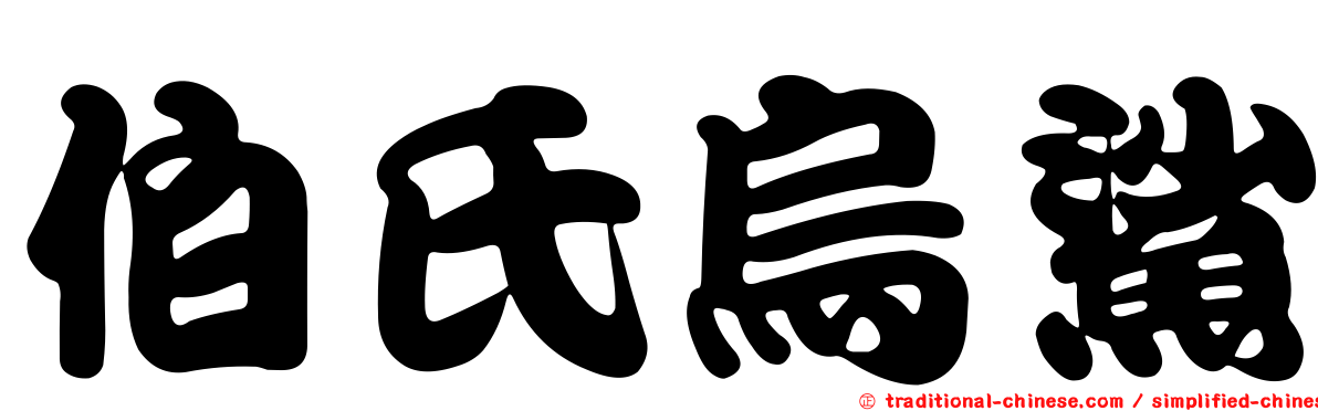 伯氏烏鯊