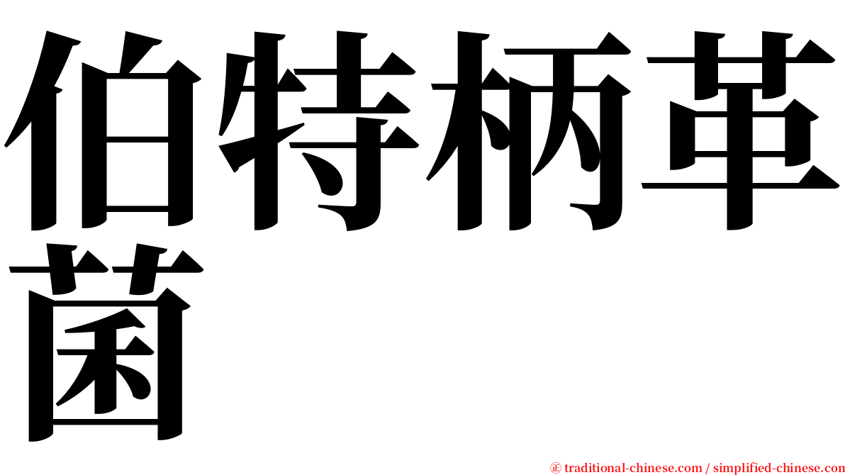 伯特柄革菌 serif font