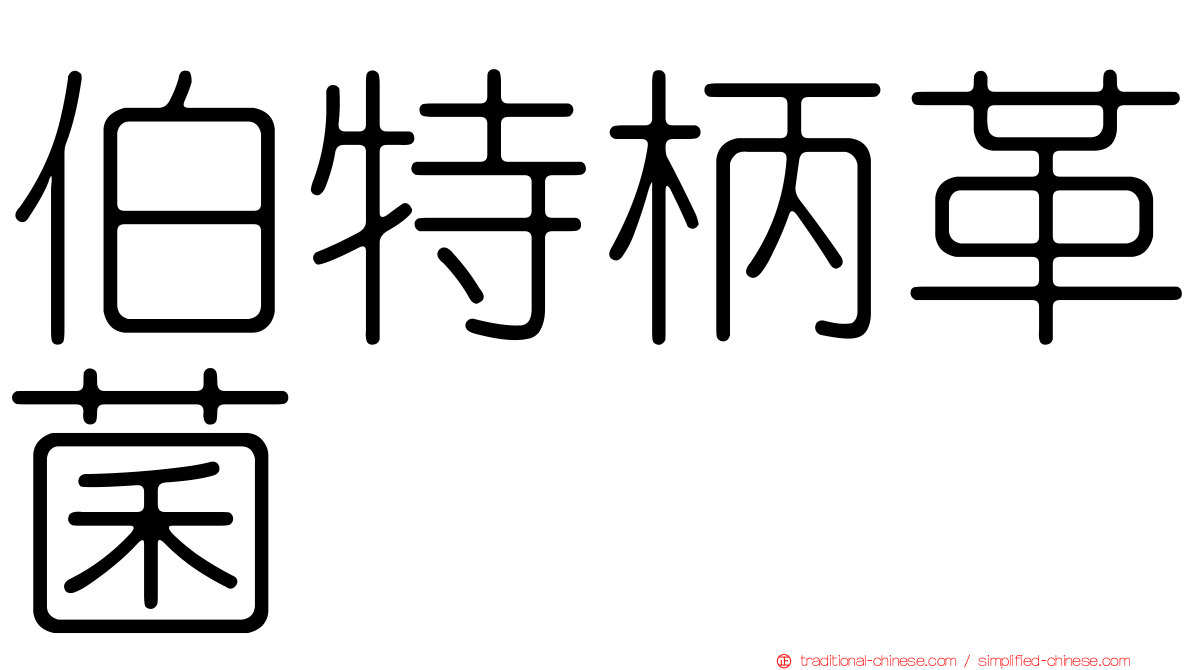伯特柄革菌