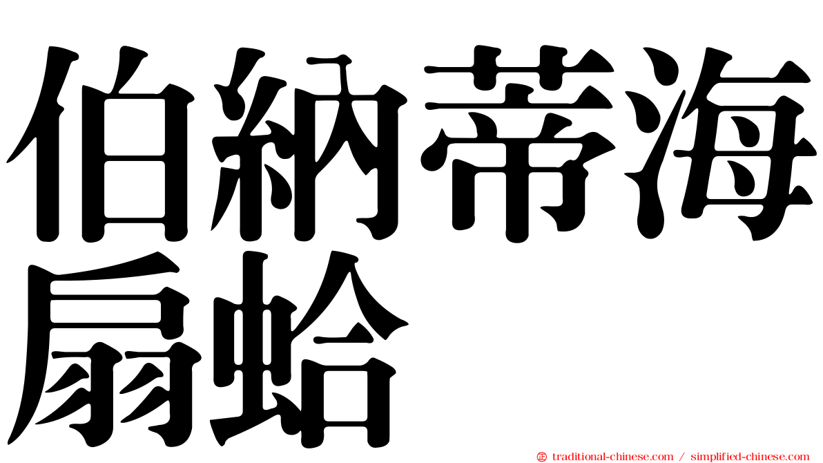 伯納蒂海扇蛤