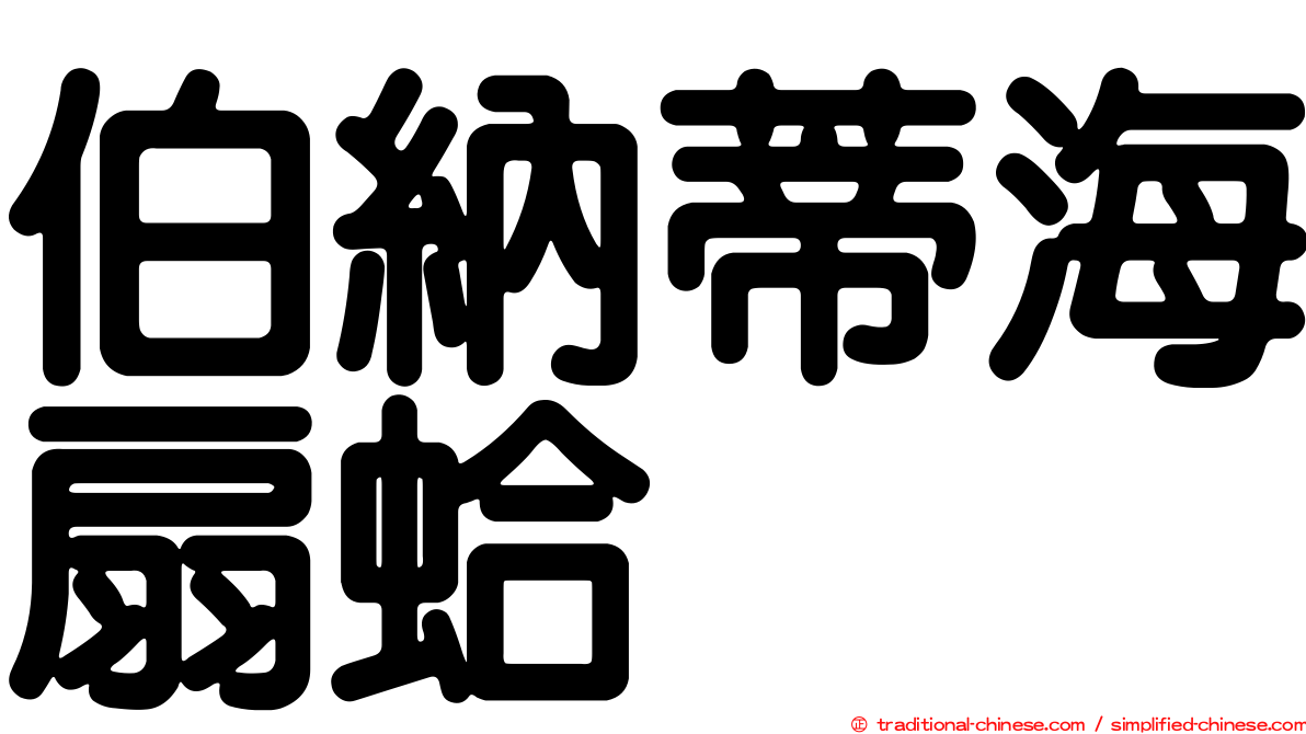 伯納蒂海扇蛤