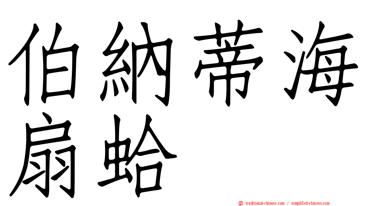 伯納蒂海扇蛤