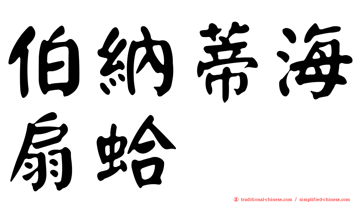 伯納蒂海扇蛤