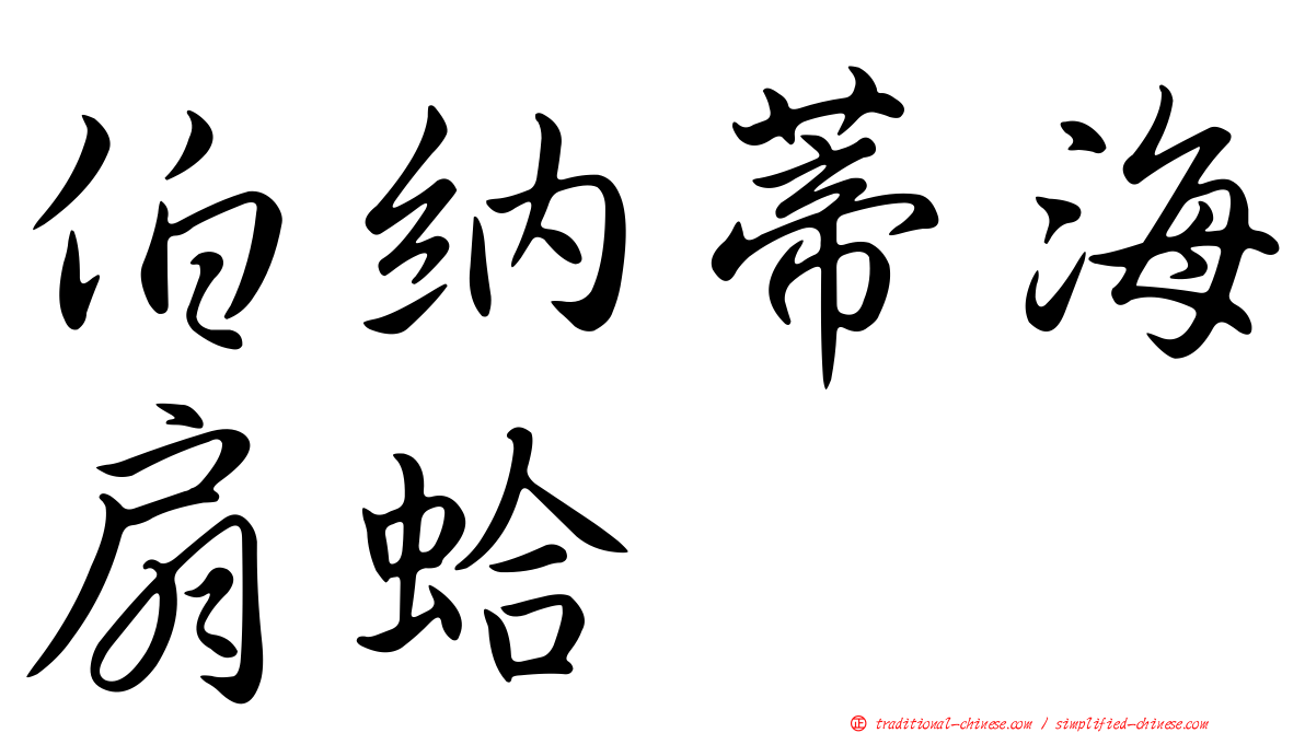 伯納蒂海扇蛤