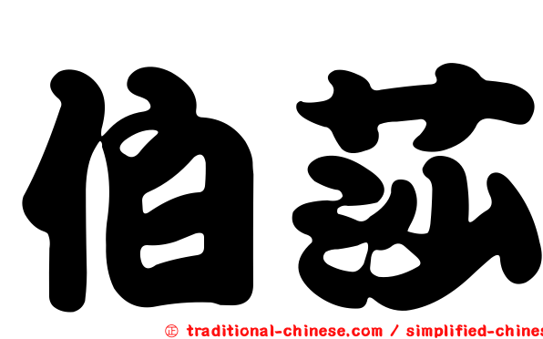 伯莎