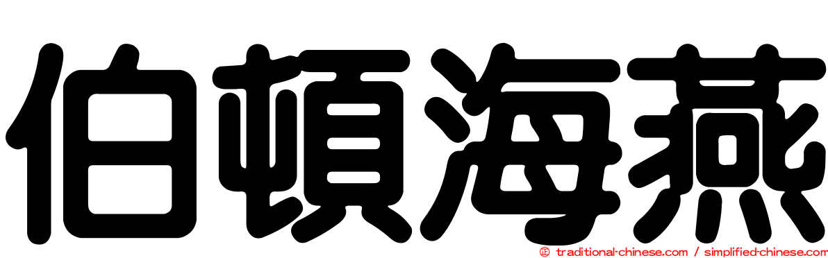 伯頓海燕