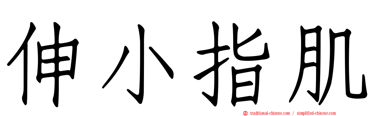 伸小指肌