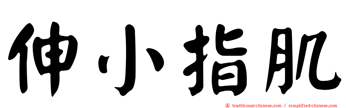 伸小指肌