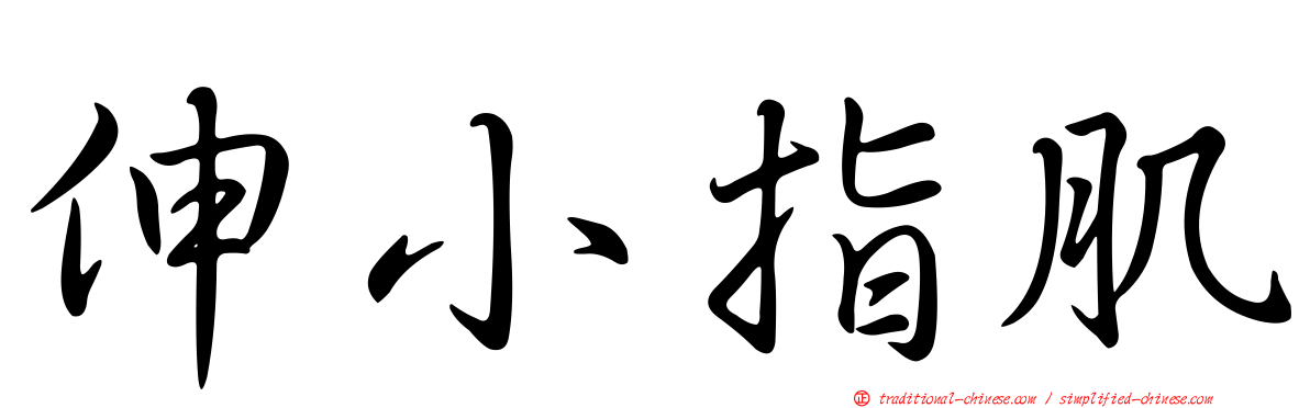 伸小指肌