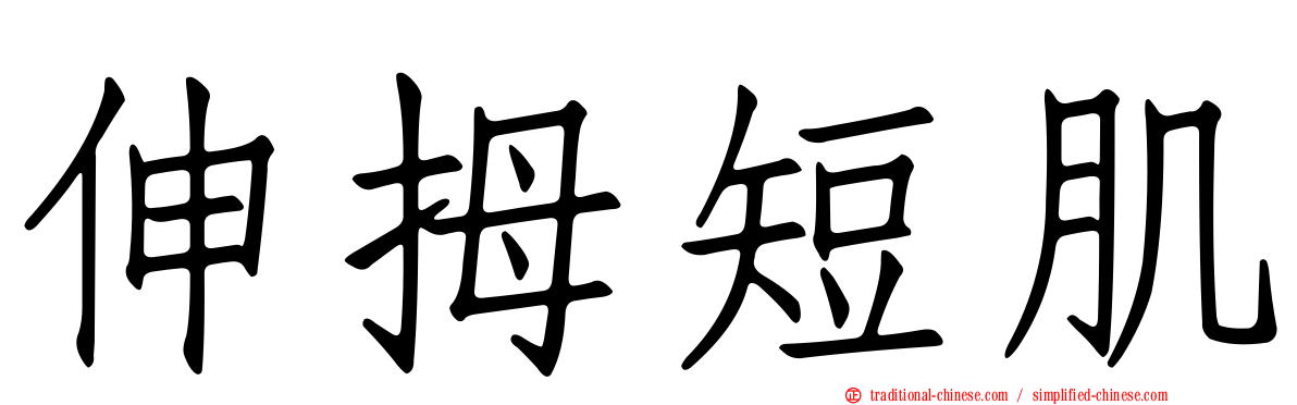 伸拇短肌