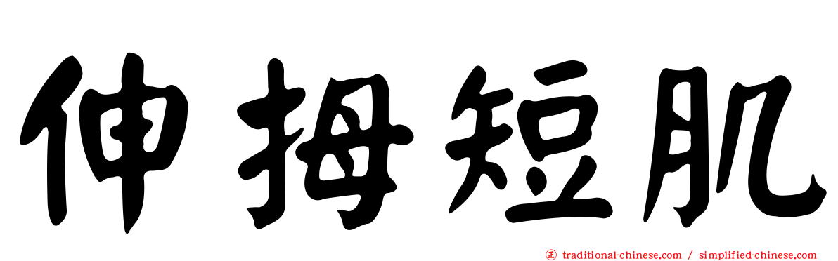 伸拇短肌