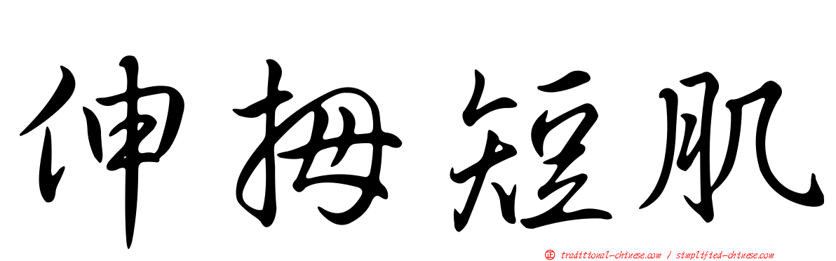 伸拇短肌