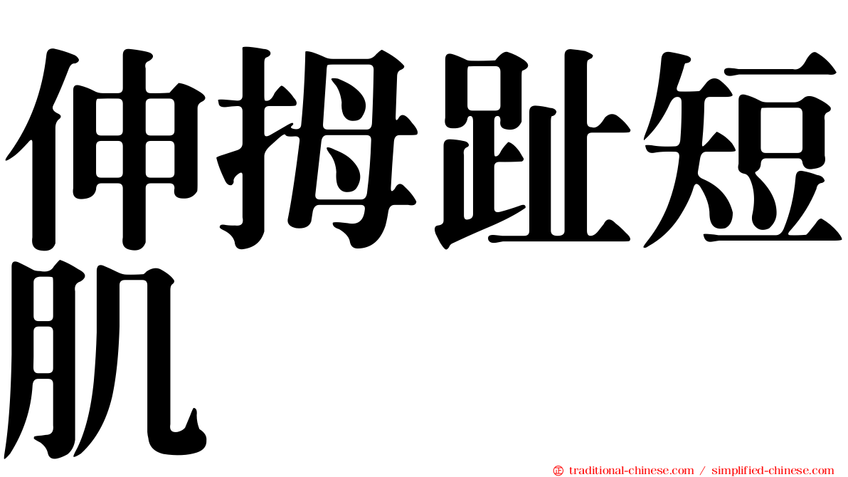 伸拇趾短肌