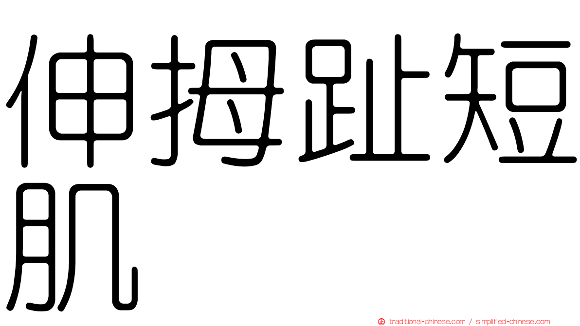 伸拇趾短肌