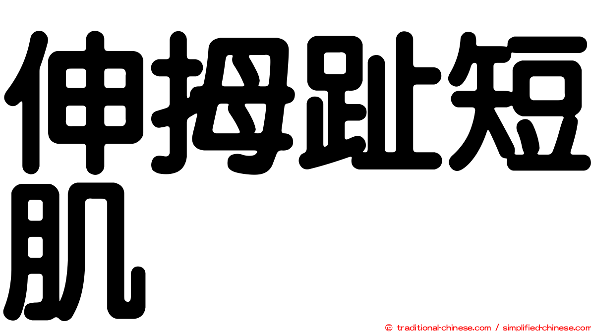 伸拇趾短肌