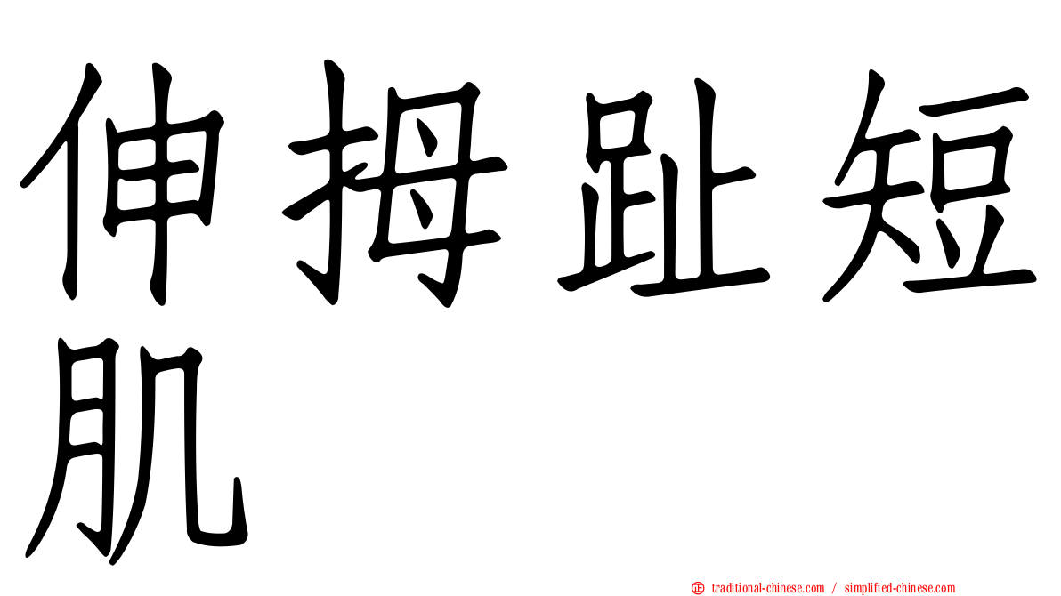 伸拇趾短肌