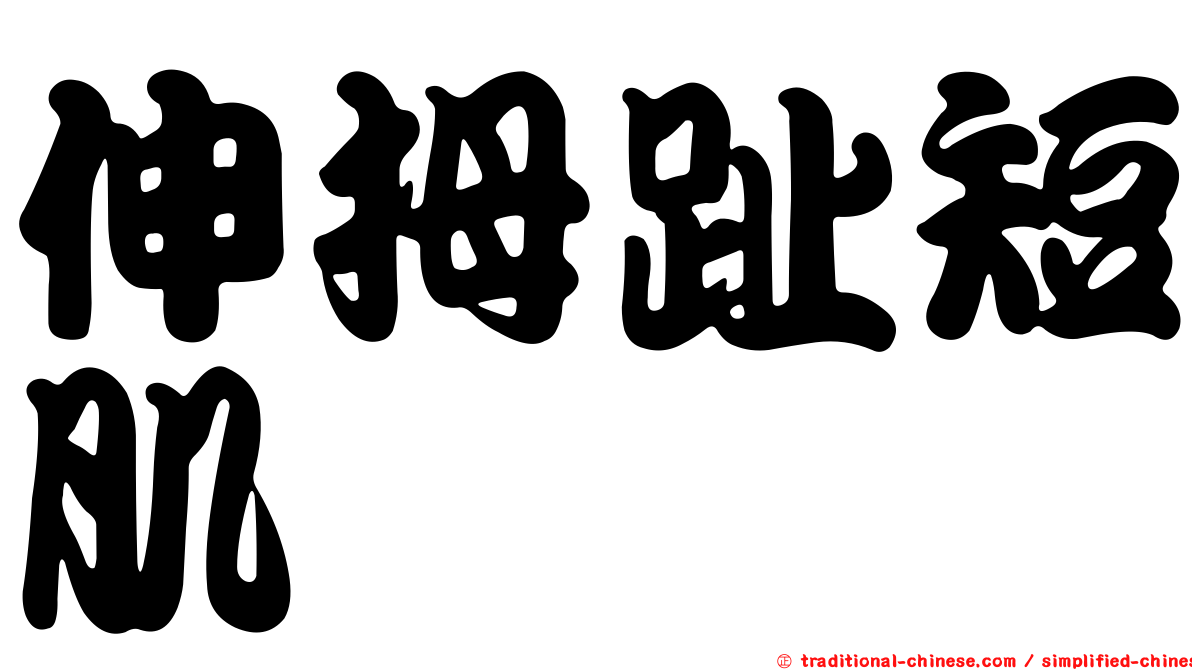 伸拇趾短肌