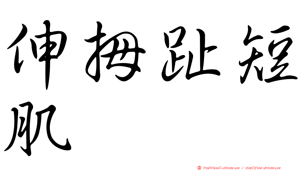 伸拇趾短肌