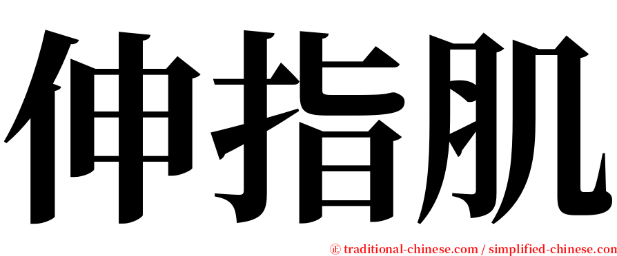 伸指肌 serif font