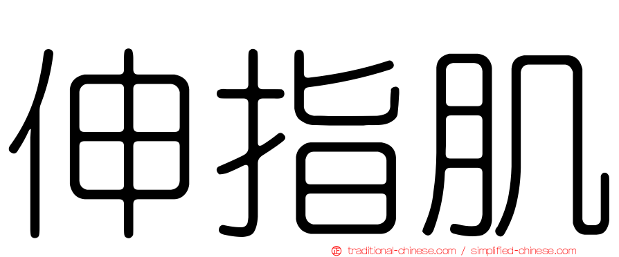 伸指肌