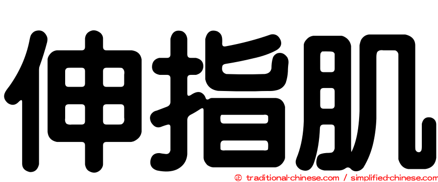 伸指肌