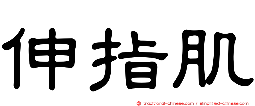 伸指肌