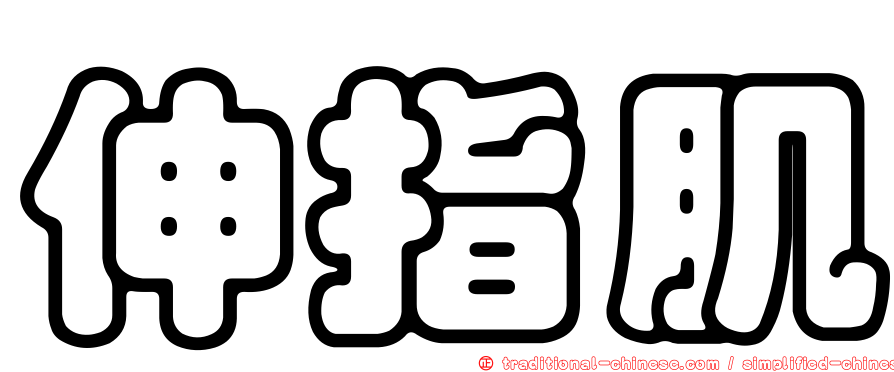 伸指肌