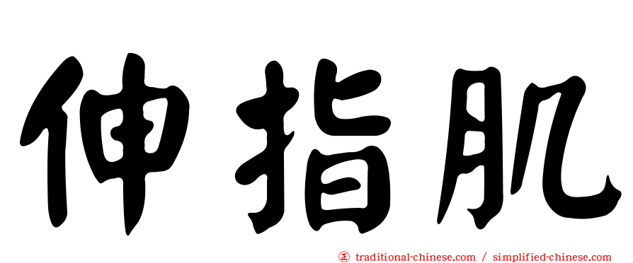 伸指肌