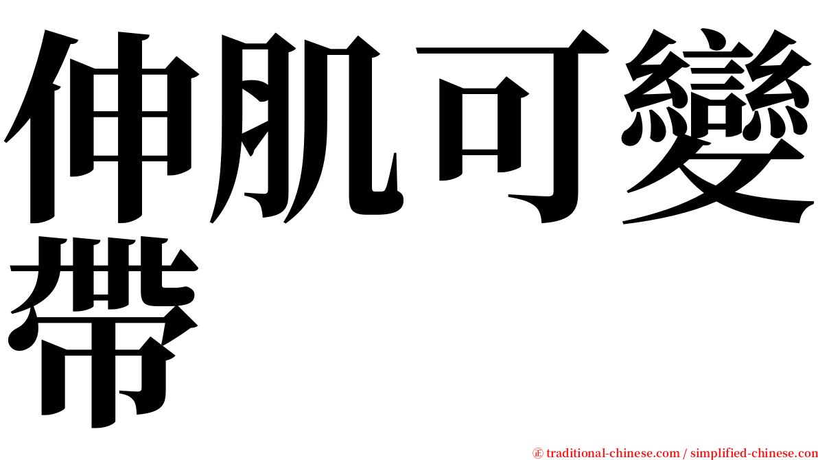 伸肌可變帶 serif font